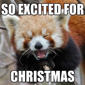 Meet your Posher, Jasmin